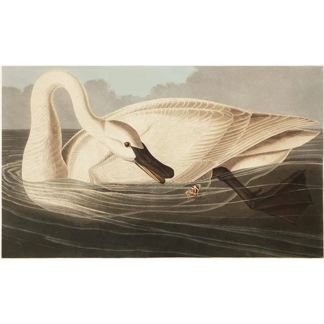 A stunning large vintage Cottage, American Classical, Nautical or Chinoiserie Style reproduction of the original Vintage...