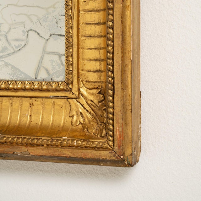 Wood 19th Century France Gold Wood Mirror For Sale - Image 7 of 8