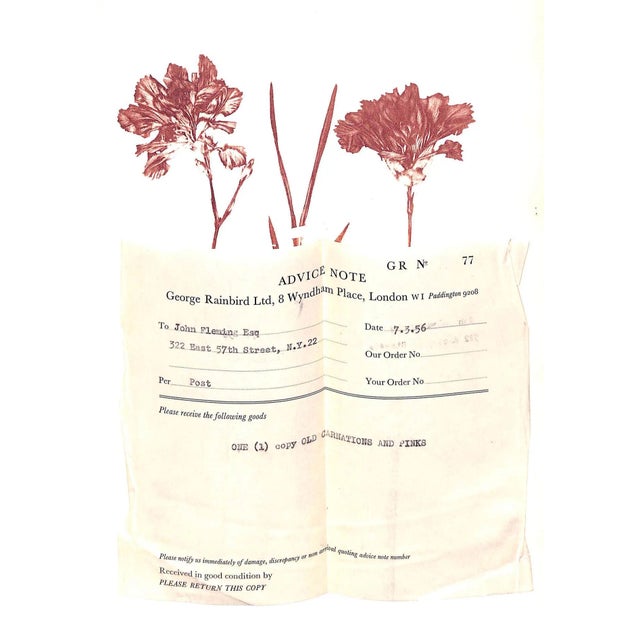 1950s "Old Carnations & Pinks" 1955 Moreton, C. Oscar For Sale - Image 5 of 11