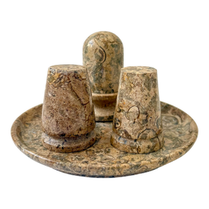 Vintage Fossil Coral Marble Condiment Set With Tray, Salt & Pepper Shakers and Toothpick Holder - Set of 4