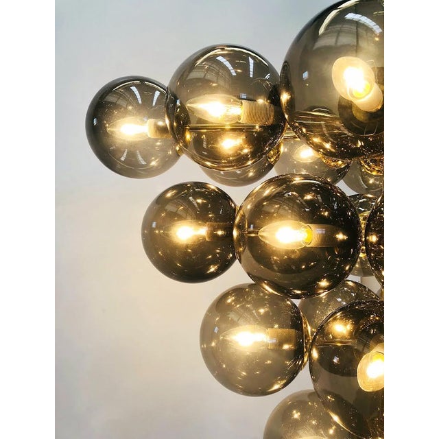 Glass 21st Century Italian Grappolo Polished Brass Smoky Murano Glass Chandelier by Fabio LTD For Sale - Image 7 of 7