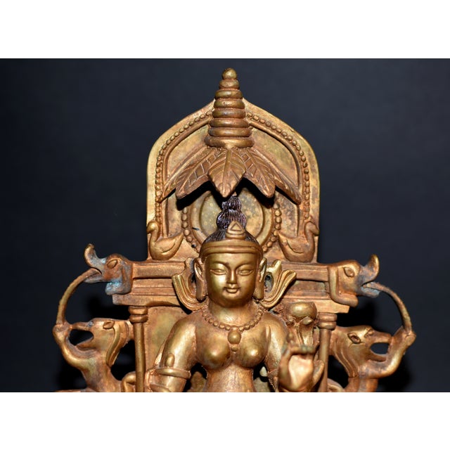 Gilt Bronze Tibetan Buddha Under Bodhi Tree For Sale - Image 14 of 16