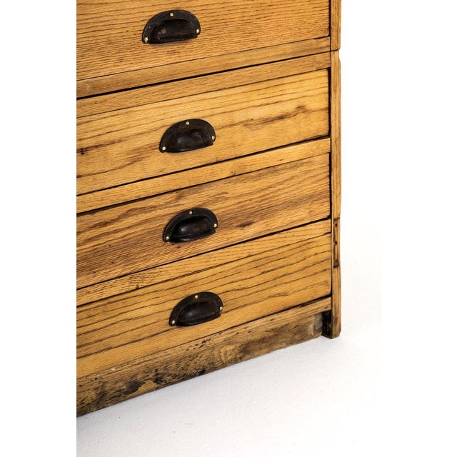 Large Plan Chest in Pine For Sale - Image 10 of 16