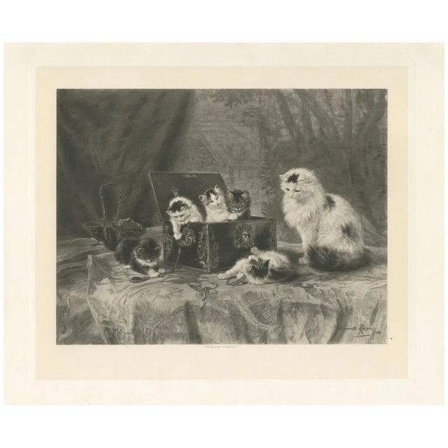 Henriette Ronner, The Curious Explorers: Cats and Kittens, 1894, Print For Sale