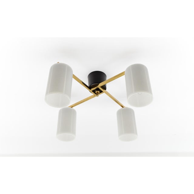 Mid-Century Modern Four-Armed Brass and Glass Lamp, 1950s For Sale - Image 6 of 13