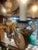 Early 20th Century Large Blue and White Chippy Wood Chandelier For Sale - Image 9 of 14