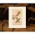 Paper 1966 Vintage Cottage Print "Louisiana Yellow-Throat Finch" After John James Audubon For Sale - Image 7 of 8