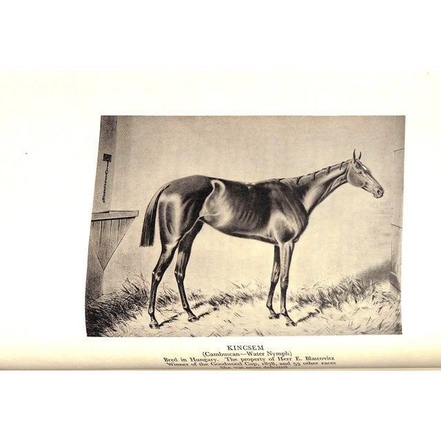 "Memories of Racing & Hunting" 1935 the Duke of Portland For Sale - Image 10 of 11