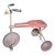 Gendron Wheel Company, "Pioneer" Tricycle For Sale