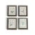 This is a beautiful set of 4 authentic 1910 Canadian farm weed prints that have been newly matted and assembled in a...
