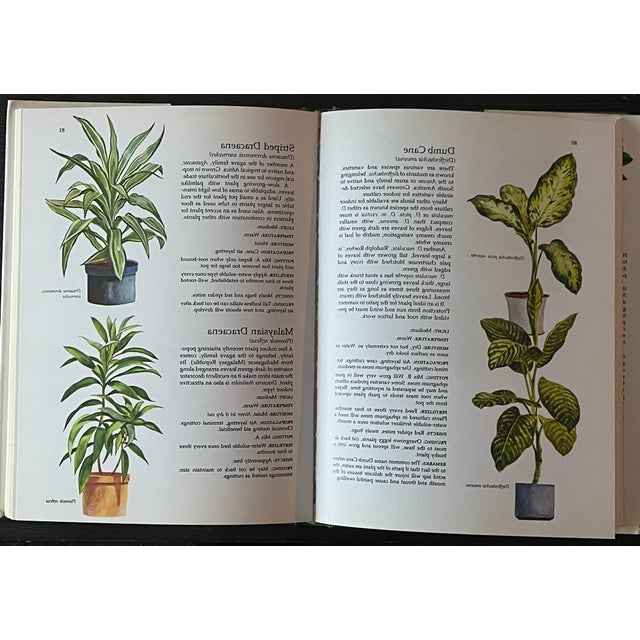 1975 The Total Book of House Plants Full Color For Sale In Milwaukee - Image 6 of 7