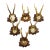 Antique Set of Black Forest Roe Deer Trophies, Germany Ca. 1890s/1900s For Sale