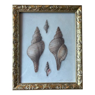 Contemporary Hannah Winters Repro Print of Her Seashells in a Vintage Gold Frame For Sale