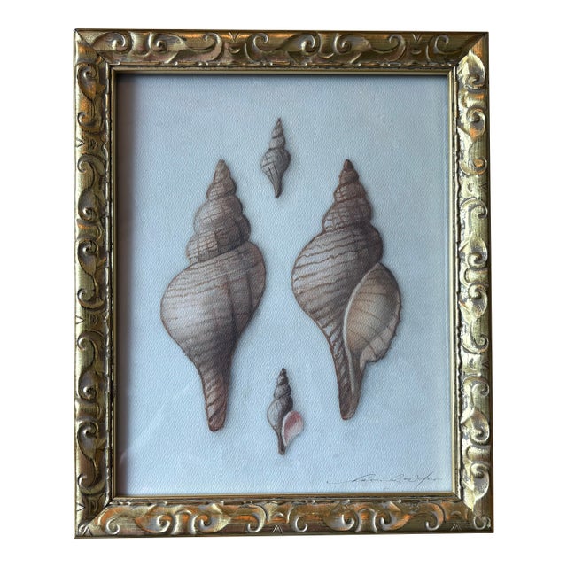 Contemporary Hannah Winters Repro Print of Her Seashells in a Vintage Gold Frame For Sale