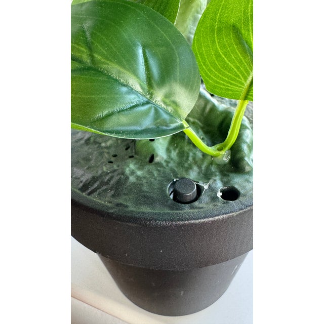 Classic Movie Memorabilia Animated Audrey Plant For Sale - Image 10 of 15