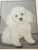 Figurative Sweet White Poodle Puppy Dog Portrait Original Art Painting Signed For Sale - Image 3 of 4