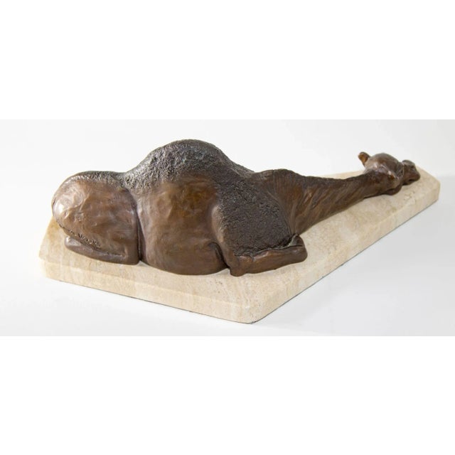 Bronze Resting Camel Sculpture on Marble Stand French School For Sale - Image 9 of 13