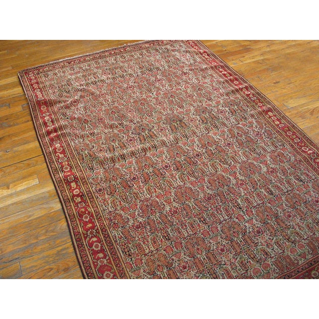 Persian 1880s Ivory Paisley Traditional Antique Senneh Persian Rug 4'2" X 6'4" Handknotted Wool Carpet For Sale - Image 3 of 5