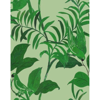 Sample - Large Scale, Tropical Birds Wallpaper by Paule Marrot in Greens For Sale