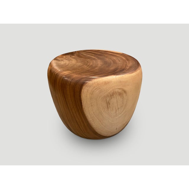 Brown Andrianna Shamaris Drum Shape Suar Wood Coffee Table or Side Table For Sale - Image 8 of 18