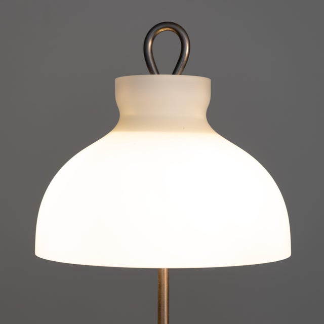 Small Version Arenzano Table Lamp by Ignazio Gardella for Azucena, 1965 For Sale - Image 5 of 8