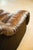 DS600 Non-Stop Snake Sofa in Brown Leather by Ueli Berger for de Sede, 1970s, Set of 16 For Sale - Image 12 of 18