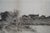 Antique Ernest C Rost Country Farmhouse Panoramic Landscape Etching 31" For Sale - Image 10 of 13