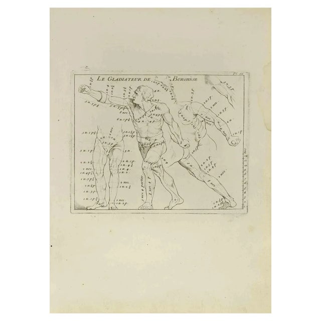 Nicholas Cochin, Anatomy Studies, Etching, 1755 For Sale