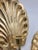 Brass Mid 20th Century Hollywood Regency Scalloped Brass Shell Wall Sconce - Pair For Sale - Image 8 of 12
