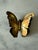 Metal Set of 3 Vintage Mid Century Brass Butterfly Wall Hangings For Sale - Image 7 of 8