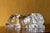 Bold Baccarat crystal panther figurine — sleek design that really captures the elegance and power of the animal. The...