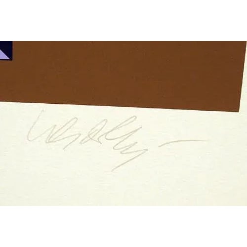 Abstract Victor Vasarely "Mata Fem" Unframed Op-Art Signed Numbered Serigraph Art Print For Sale - Image 3 of 4