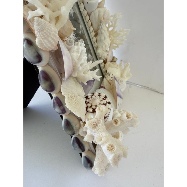 A wonderful CSS Seashell Frame filled with white, purple and brown shells including real pearls - a top is a delicate sea...
