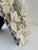 A wonderful CSS Seashell Frame filled with white, purple and brown shells including real pearls - a top is a delicate sea...