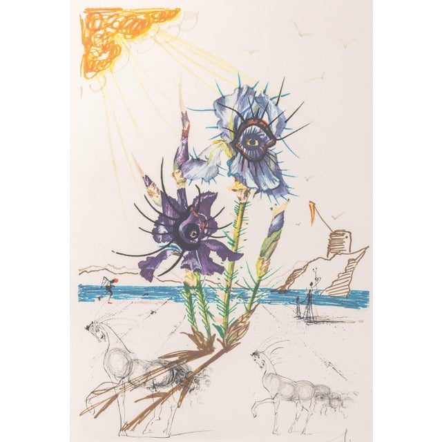 Salvador Dali (Spanish, 1904-1989), "Iris Germanica cum Ocellis Italicis" [German Iris with Italian Eyes], Etching and...