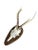 Cabin 1950s Roe Deer Trophy on Wood Plaque, Black Forest For Sale - Image 3 of 5