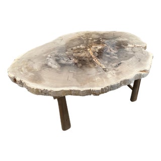 Andrianna Shamaris Minimalist Slab Petrified Wood Coffee Table For Sale