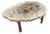 Andrianna Shamaris Minimalist Slab Petrified Wood Coffee Table For Sale