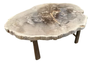 Andrianna Shamaris Minimalist Slab Petrified Wood Coffee Table