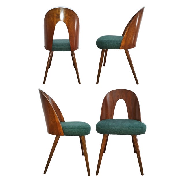 Wood Dining Chairs by A. Suman for Tatra Nabytok, Former Czechoslovakia, 1960s, Set of 4 For Sale - Image 7 of 18