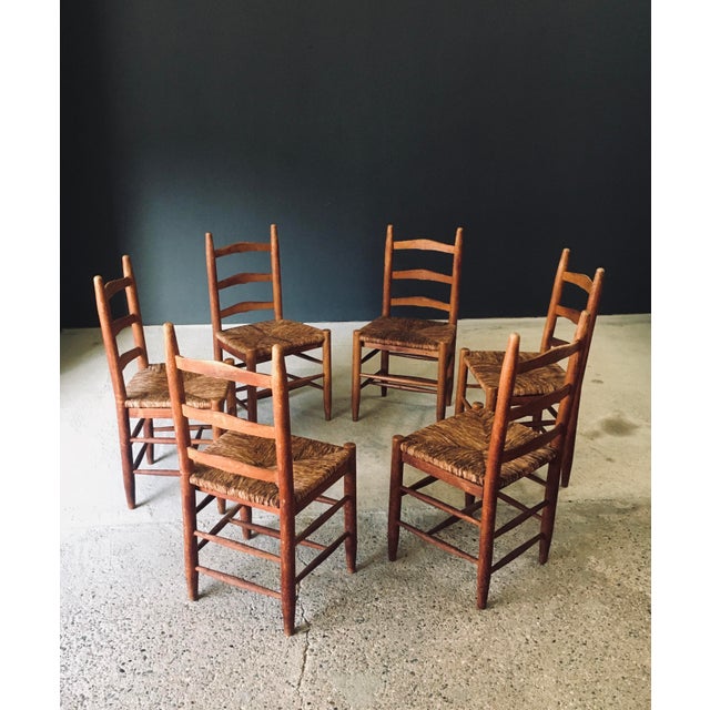 Brown Low Rustic Ladder Back Dining Chairs in Oak and Rush, Belgium, 1950s, Set of 6 For Sale - Image 8 of 18