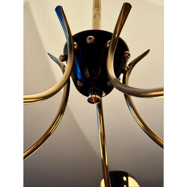 Chandelier from Maison Lunel, France, 1950 For Sale - Image 4 of 7