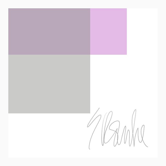 Not Yet Made - Made To Order The Interaction of Lavender and Gray Fine Art Print 25" X 30" by Liz Roache For Sale - Image 5 of 6