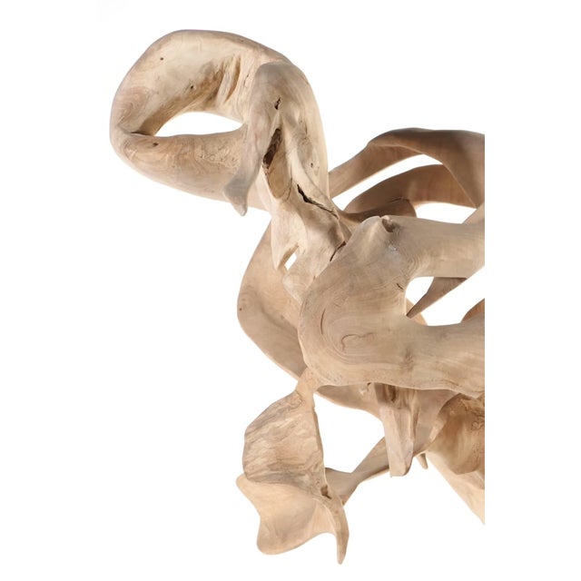 Monumental Teak Root Sculpture 7' Tall For Sale - Image 11 of 18