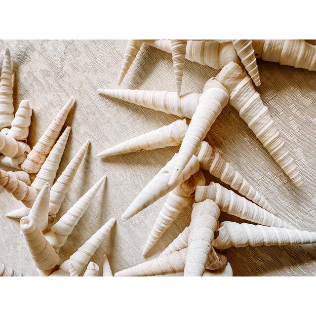 Vintage Coastal Beach Seashells Holiday Christmas Garland or Table Decor For Sale - Image 11 of 11