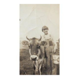Vintage Snapshot Photograph Jersey Cow Milk Farm Girl in Overalls For Sale