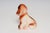 Vintage American Carved and Painted Chalkware Orange Puppy With Blue Bow Figurine For Sale - Image 4 of 10