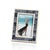 Coastal Mendocino Blue Carved Bone Photo Frame, 5" x 7" For Sale - Image 3 of 3
