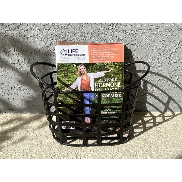 1990s 1990s Dark Brown Wrought Iron Woven Metal Magazine Rack Basket For Sale - Image 5 of 9