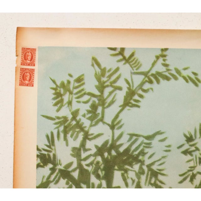 1950 Original Oversize Italian Advertising Poster - Olio Radino (Olive Oil) - Boccasile For Sale - Image 4 of 5